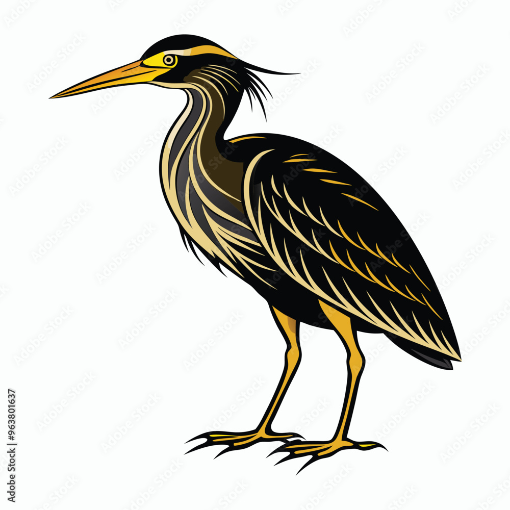 Fototapeta premium vector Bittern on white background