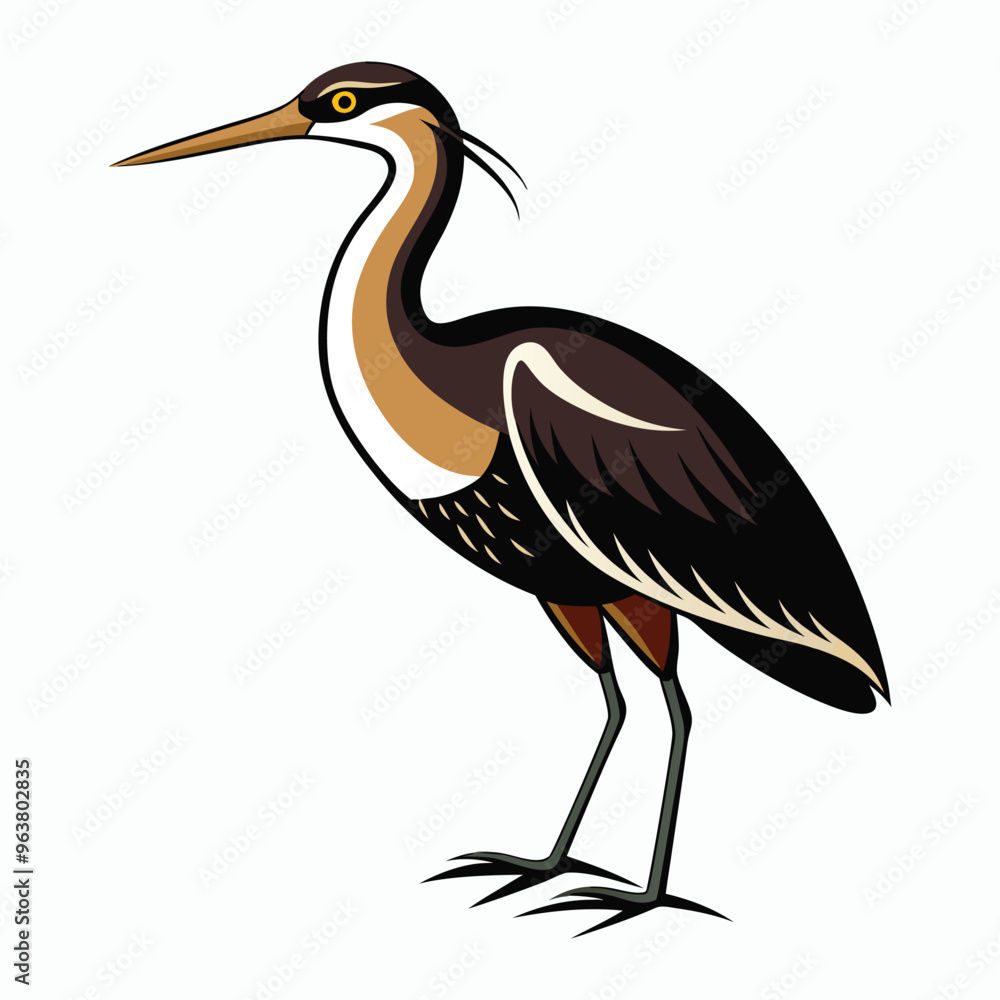 Obraz premium vector Bittern on white background