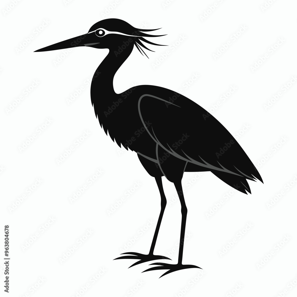 vector Bittern on white background vector Bittern on white background