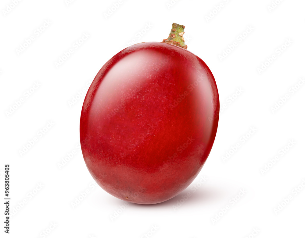 red grapeisolated red grapeisolated