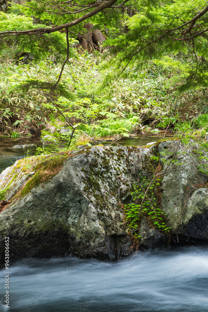 Naklejka premium 日本 長野県松本市安曇にある山岳景勝地の上高地 穂高神社奥宮神域の明神池の二之池から流れ出す渓流