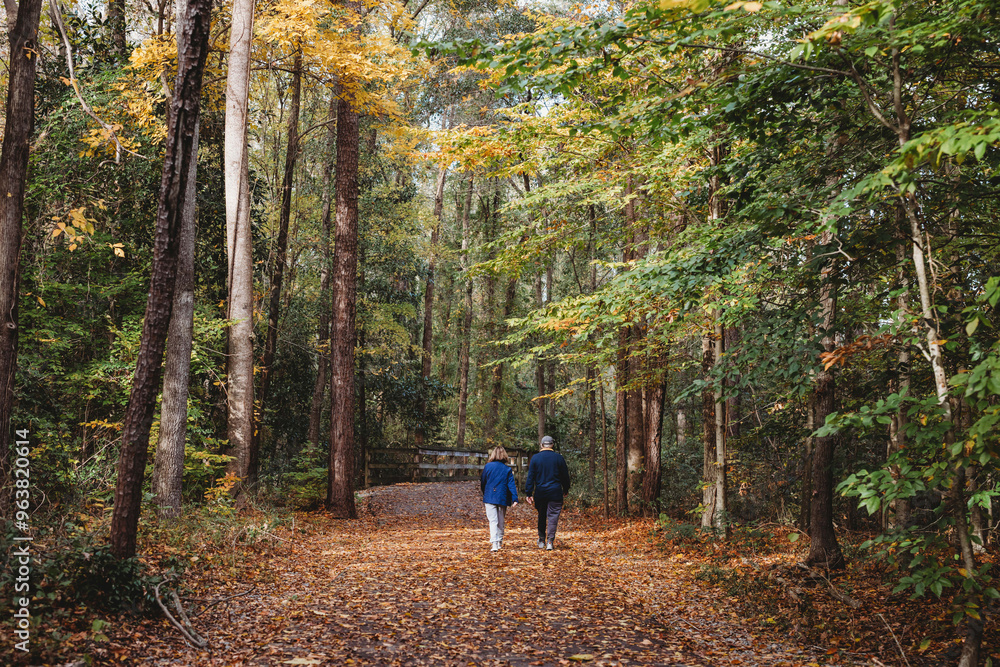 Couple walking on an Autumn Day at the parkl Couple walking on an Autumn Day at the parkl