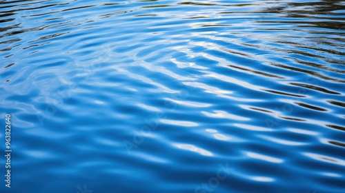 Gentle sunlight reflects off the rippling blue water, enhancing the tranquil setting by the lakeside as the afternoon sun shines