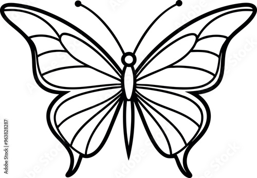 Detailed Black and White Butterfly Illustration with Intricate Wing Patterns