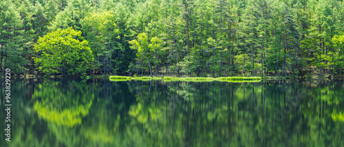 日本　長野県茅野市にある御射鹿池　水面に鏡面反射する新緑のカラマツの木々