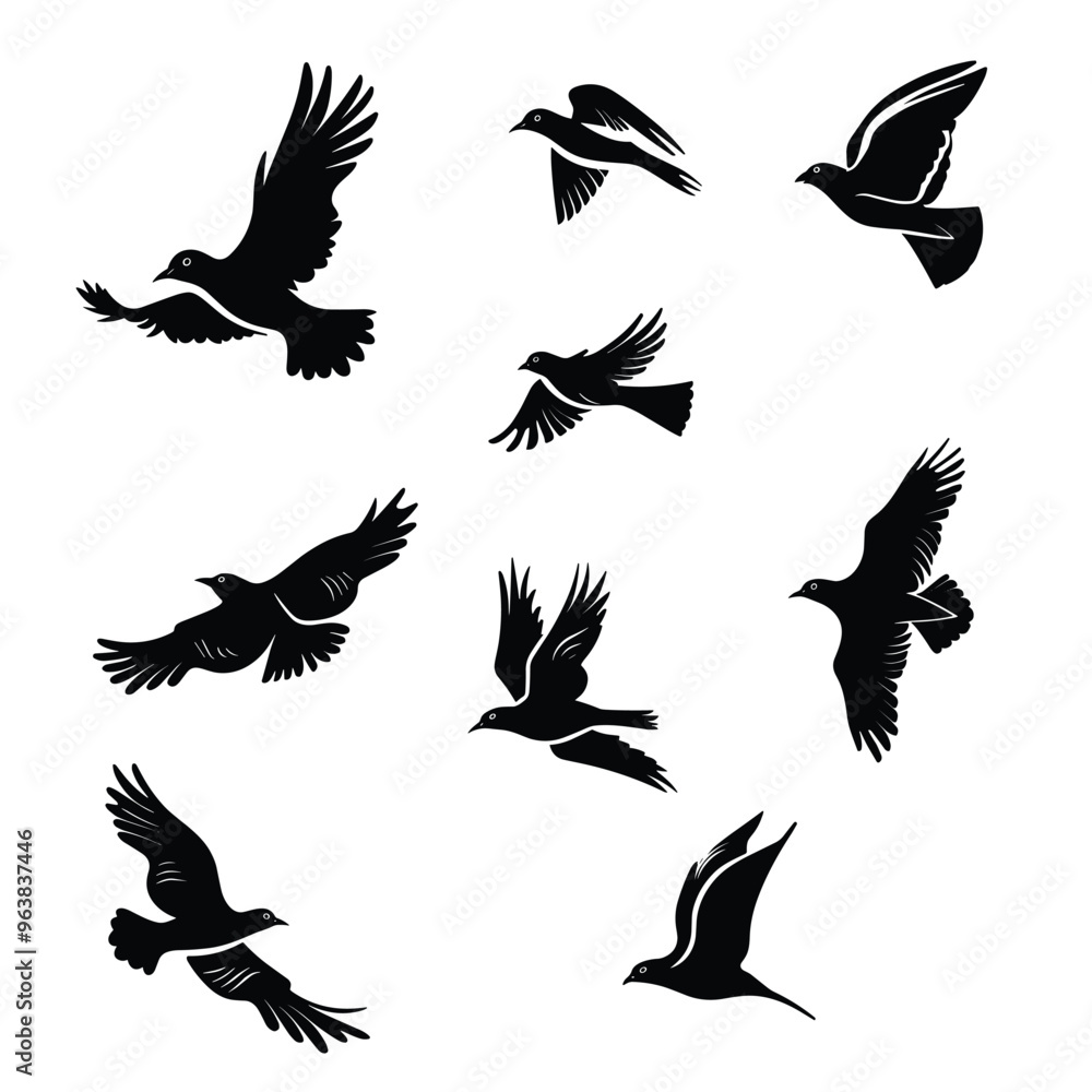 Obraz premium A variety of silhouetted birds flying in different poses on a white background.