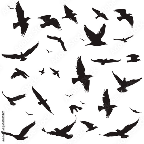 Silhouette of various birds in flight against a white background, showcasing their graceful forms and differing wing positions.