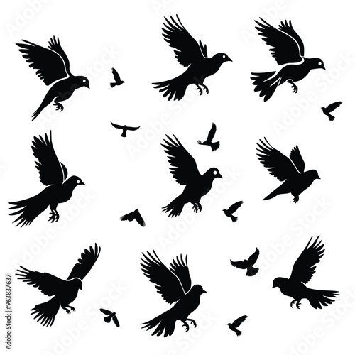 Silhouettes of various birds in flight against a white background, showcasing different flying poses.