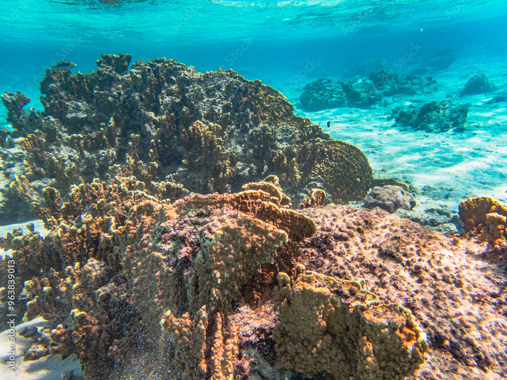 Obraz premium Rarotonga (August 2024).