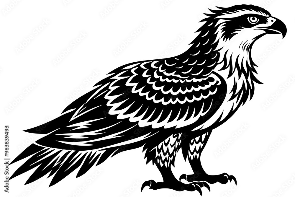 Fototapeta premium osprey bird vector silhouette, hawk osprey bird vector, osprey silhouette 