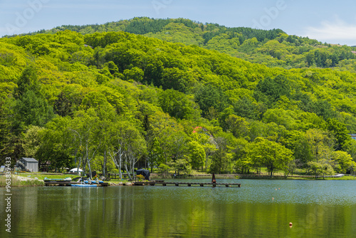 日本 長野県北佐久郡立科町にある白樺湖と新緑に囲まれた湖畔の風景