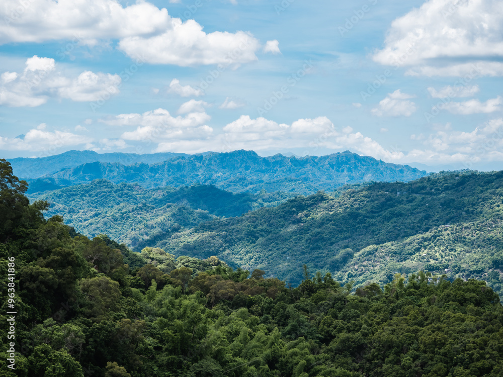 Fototapeta premium Beautiful bright landscape with green mountain field in sunny day
