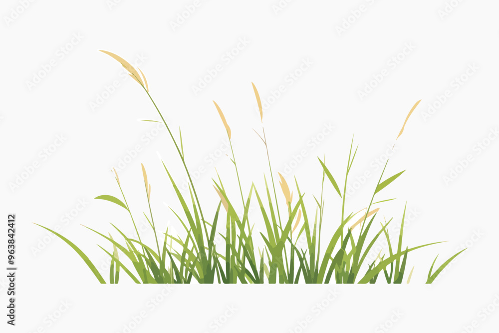 Adobe Illustrator Artwork Adobe Illustrator Artwork