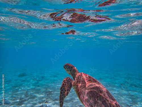 Photos Rarotonga (August 2024).