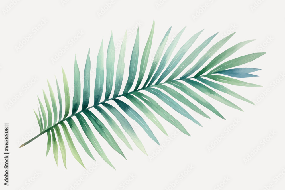 Elegant tropical palm leaf illustration Elegant tropical palm leaf illustration