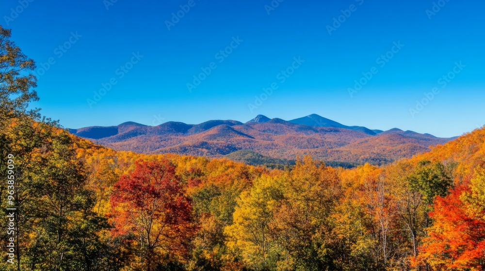 Autumnal Foliage in Front of a Mountain Range Autumnal Foliage in Front of a Mountain Range