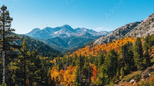 Mountain Range with Autumn Foliage and Blue Sky