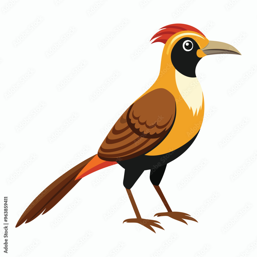 buff tailed sicklebill bird vector buff tailed sicklebill bird vector