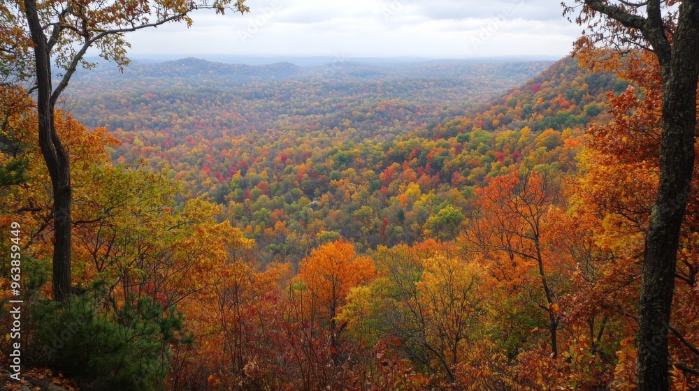 Fototapeta premium Autumnal Forest Landscape with Distant Hills