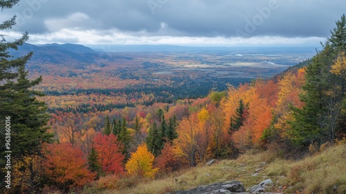 Autumnal Foliage Overlooking Valley with Cloudy Sky