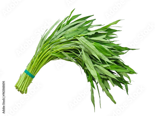 kangkung or Water spinach. Organic vegetables. on transparent background photo