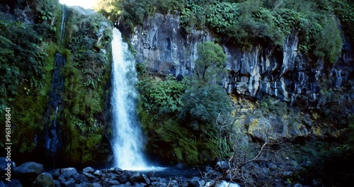 Dawson Falls in New Zealand - Majestic Waterfall Nature