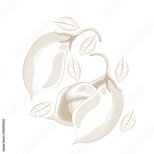 Vector Illustration Logo Line art Chickpea Pods