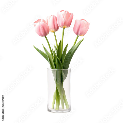 Pink Tulips in a Glass Vase