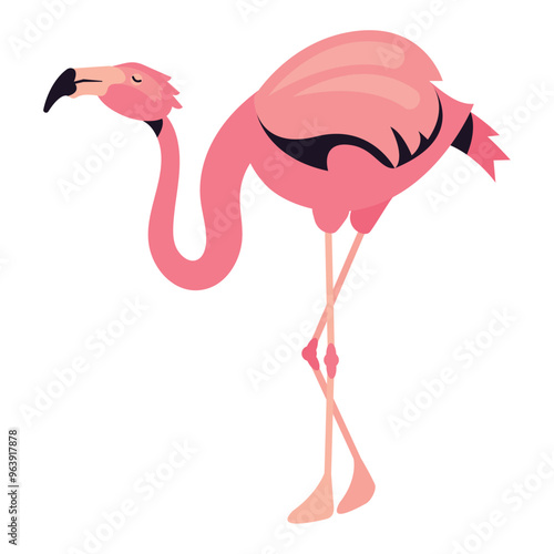 Foto flemish bird cute