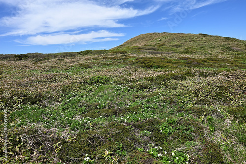 Mount. Tairappyou and Sennokura, Gunma, Japan