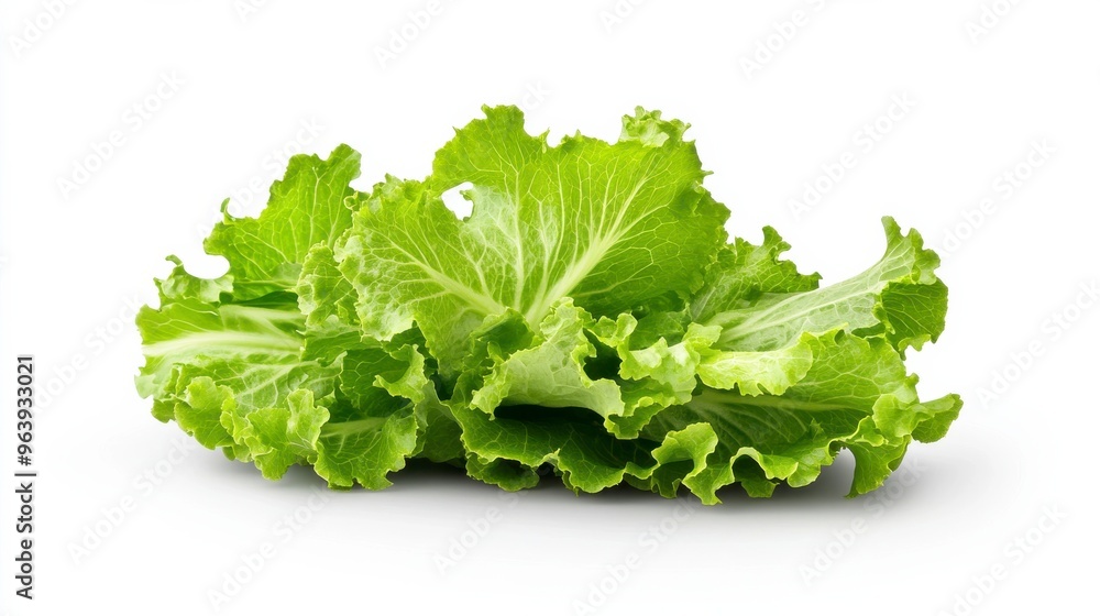 Fresh and vibrant green lettuce perfect for salads, sandwiches, or healthy meals. Ideal for food photography and culinary use. Fresh and vibrant green lettuce perfect for salads, sandwiches, or healthy meals. Ideal for food photography and culinary use.