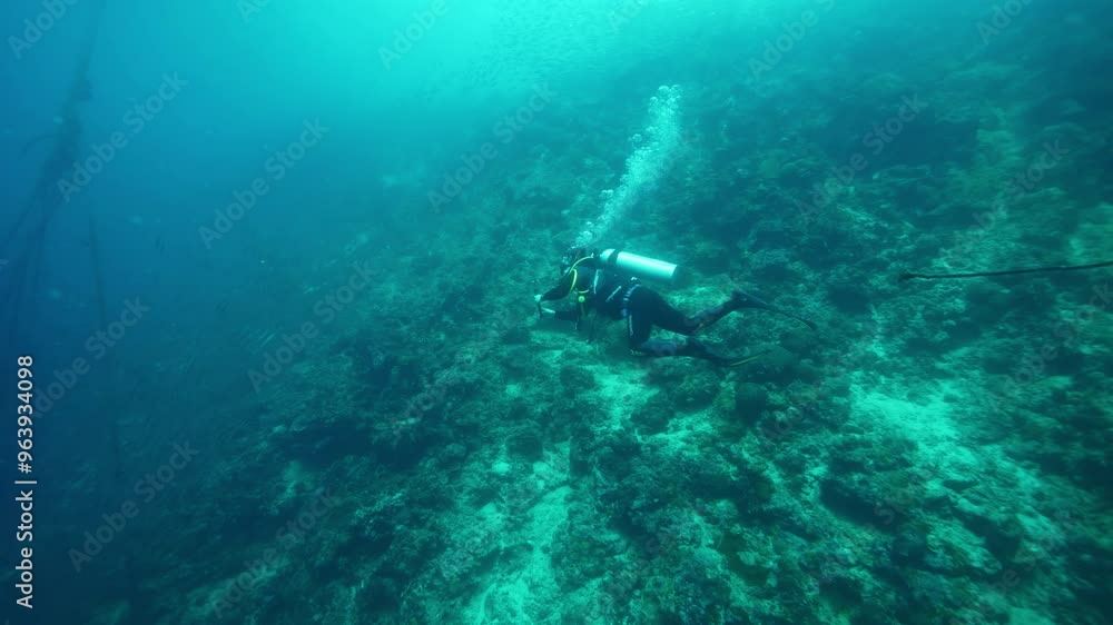 Skilled diver swims above ocean floor recording video Skilled diver swims above ocean floor recording video