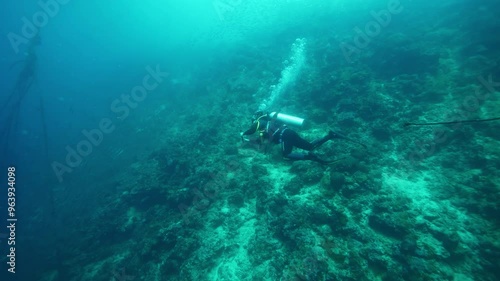 Wallpaper Mural Skilled diver swims above ocean floor recording video Torontodigital.ca