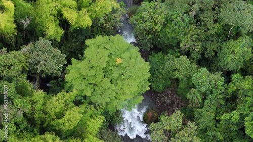 Toma aerea de seguimiento con drone del río rodeado de bosque y mucha vegetación en el bosque tropical