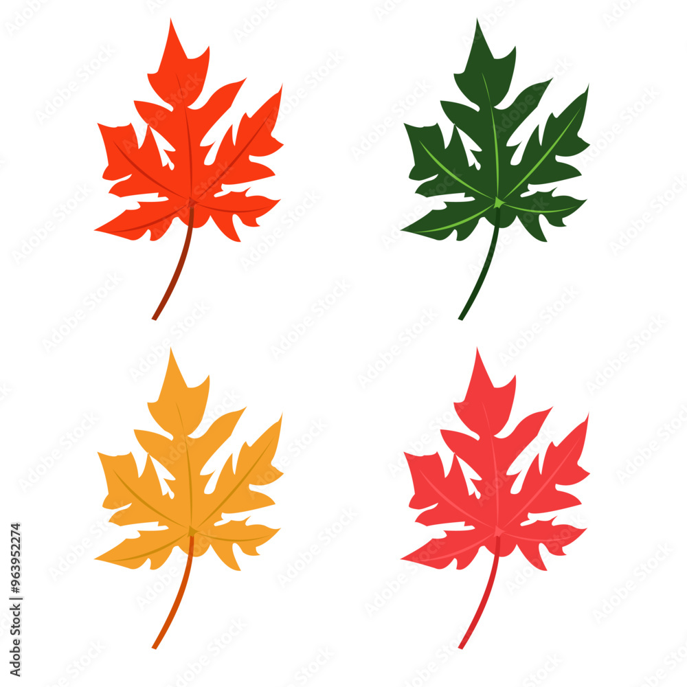 maple or autumn leaves with orange, green, yellow, pink colors maple or autumn leaves with orange, green, yellow, pink colors