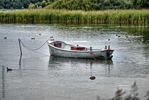 Boat in a pond