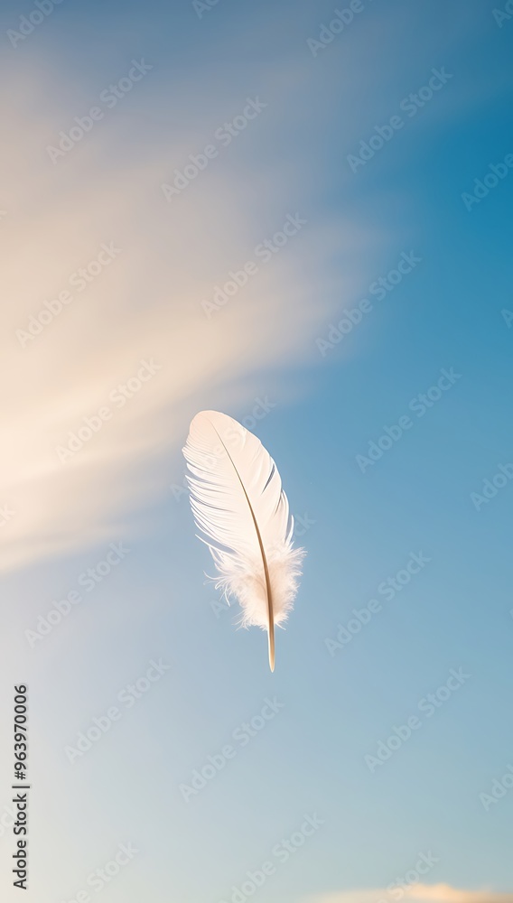 feather in the sky