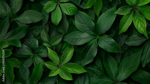 green background with textures of foliage 