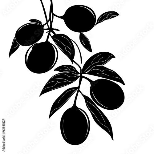 vector silhouette of a Kakadu Plum photo