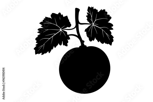 vector silhouette of a Agbalumo