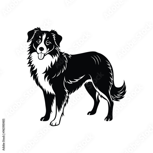 Silhouette of poised Australian shepherd dog vector clipart design