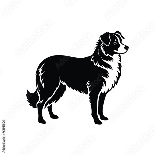 Silhouette of shy Australian shepherd dog vector clipart design