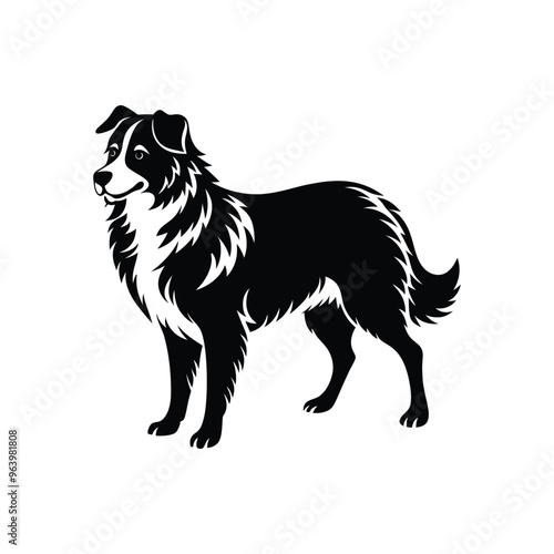 Silhouette of fearless Australian shepherd dog vector clipart design