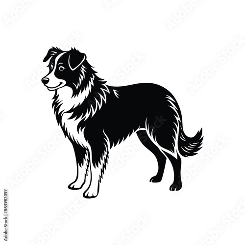 Silhouette of athletic Australian shepherd dog vector clipart design