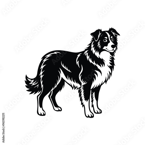 Silhouette of loyal herding Australian shepherd dog vector clipart design