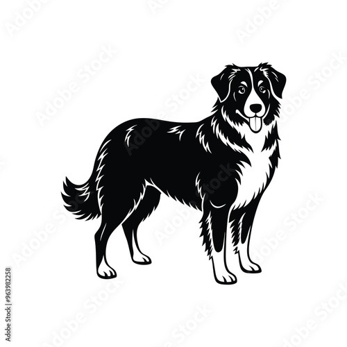 Silhouette of graceful Australian shepherd dog vector clipart design