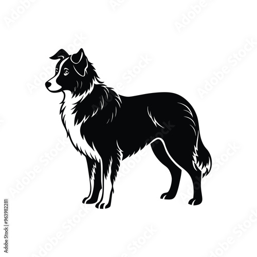 Silhouette of furry Australian shepherd dog vector clipart design