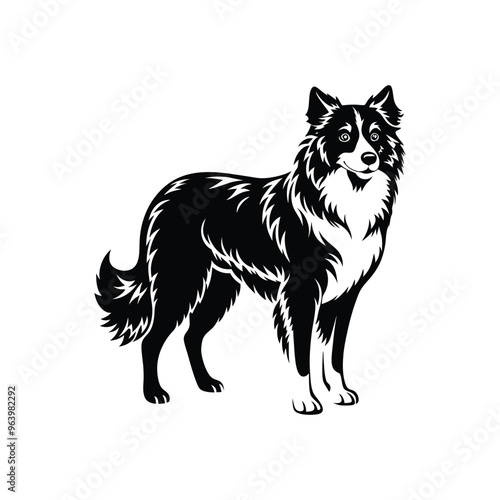 Silhouette of attentive Australian shepherd dog vector clipart design