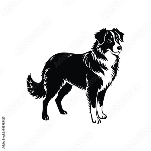 Silhouette of playful Australian shepherd dog vector clipart design