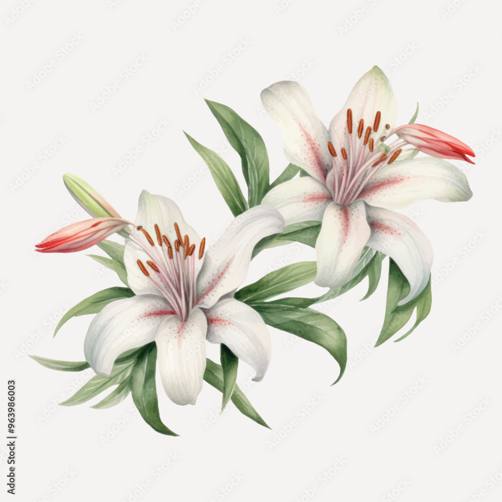 Adobe Illustrator Artwork Adobe Illustrator Artwork